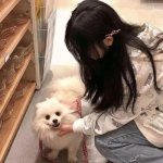 勇者挂奇迹手游官方下载